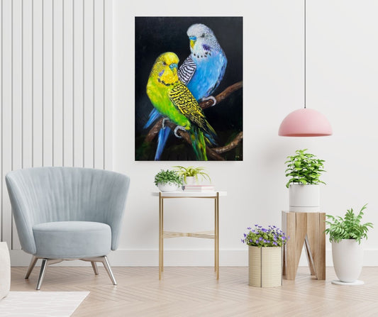 Budgie Brillance
