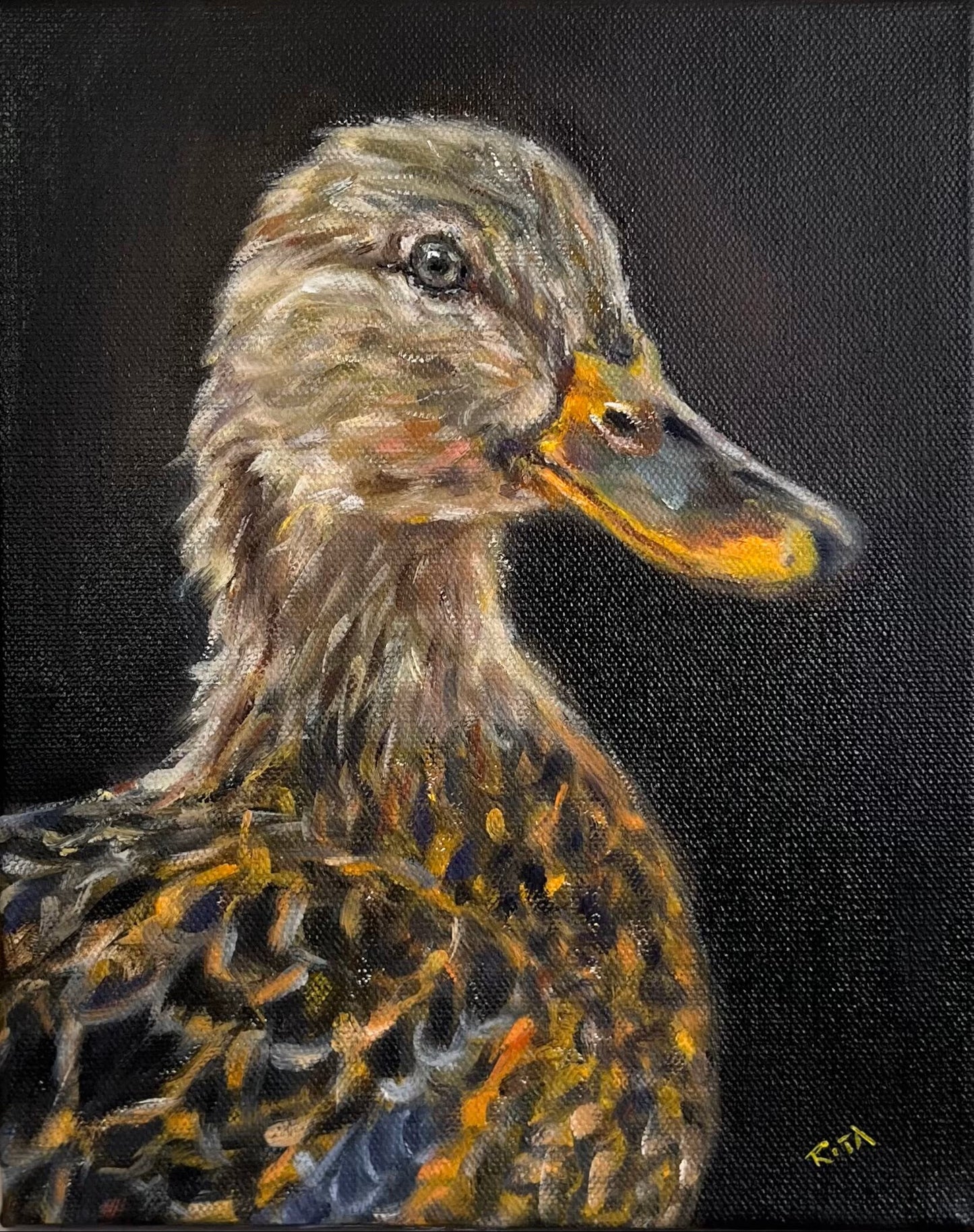 Duck Study