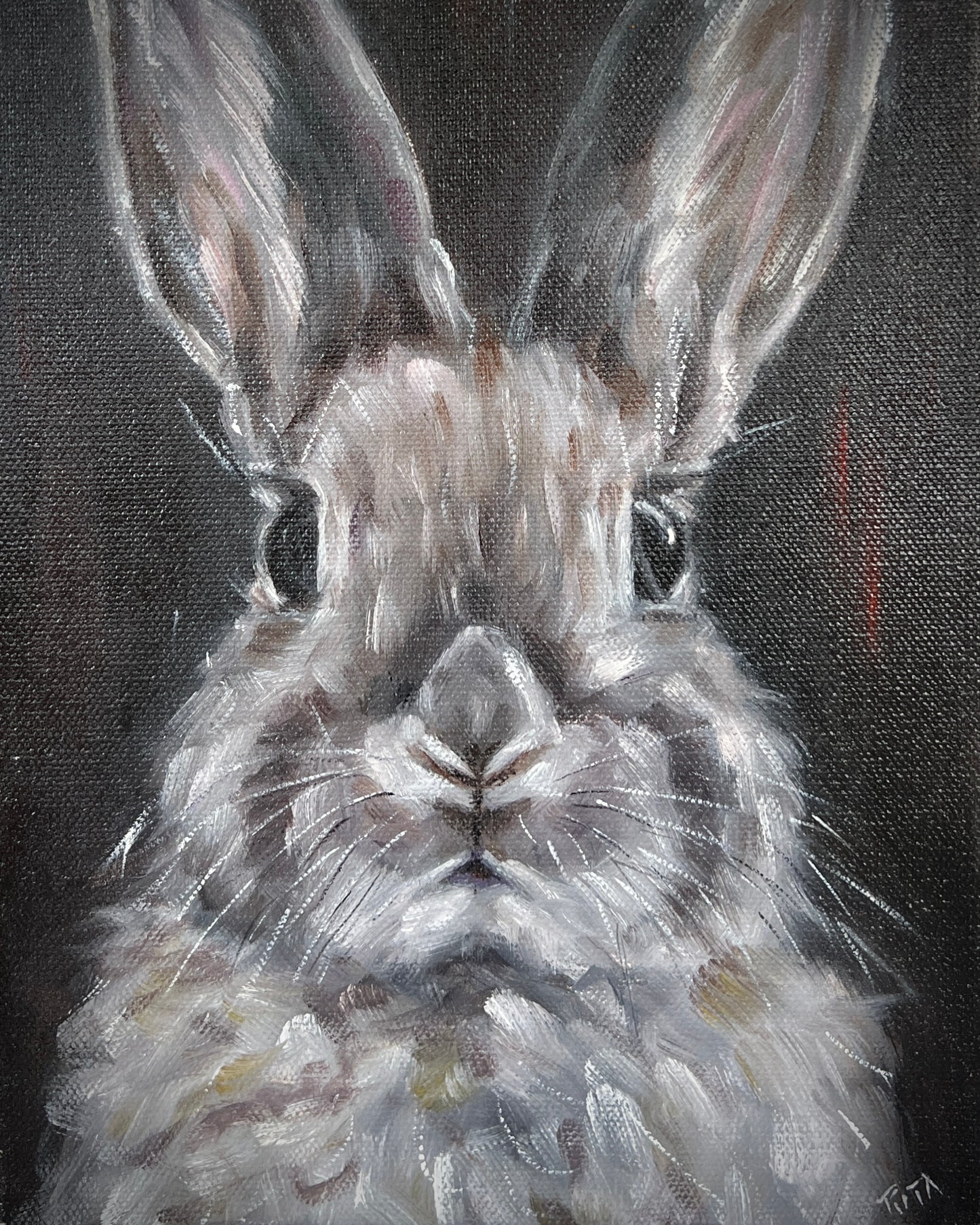 The Grey Rabbit’s Innocence