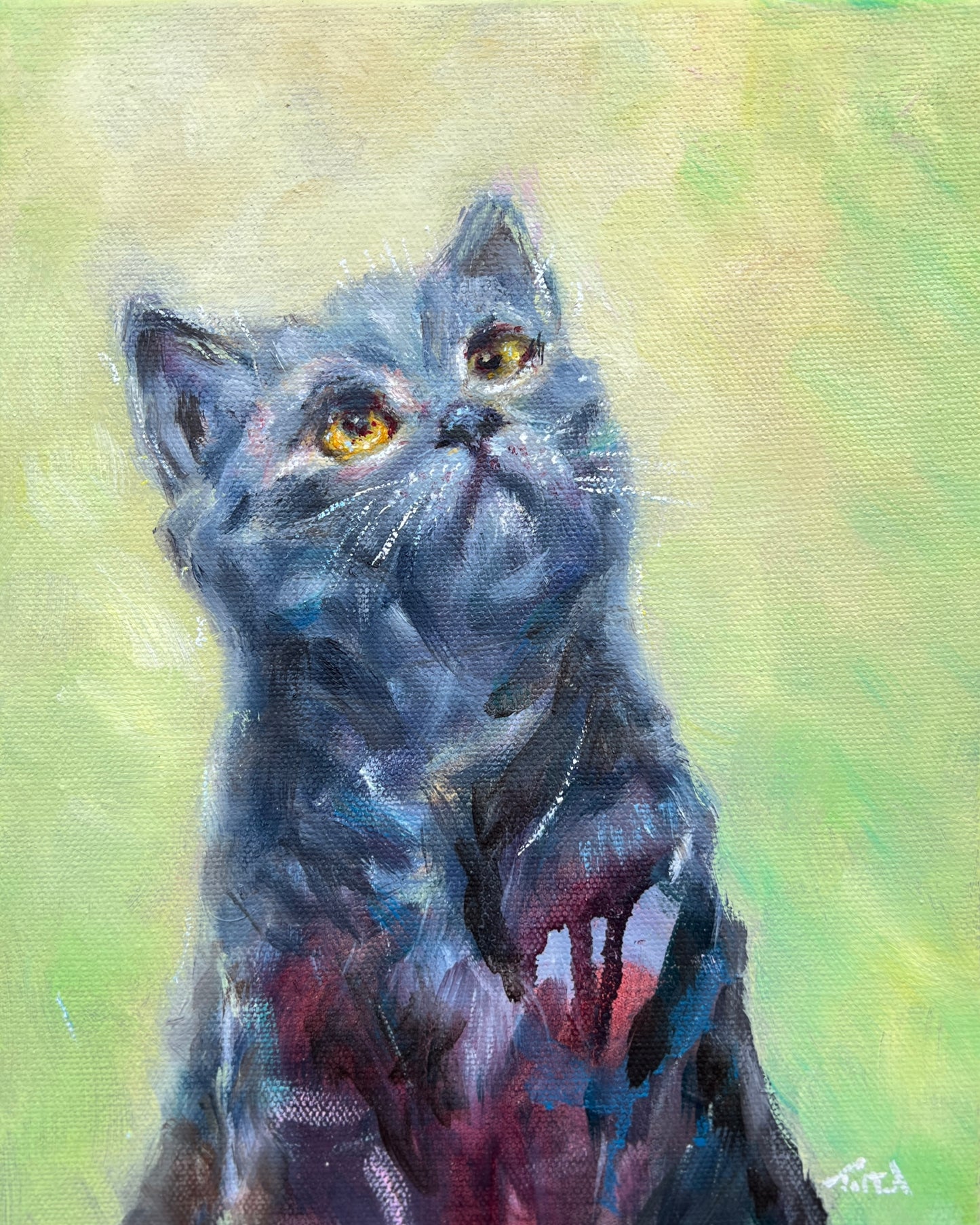 Eyes Full of Wonder