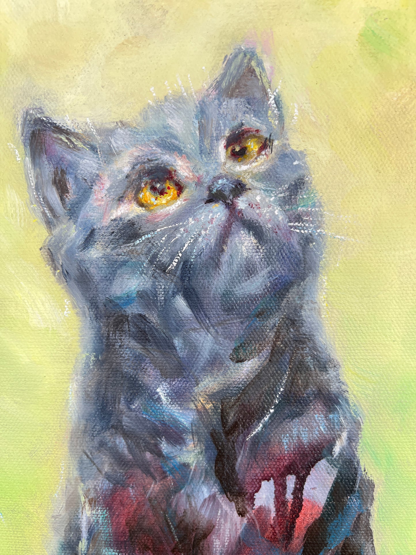 Eyes Full of Wonder