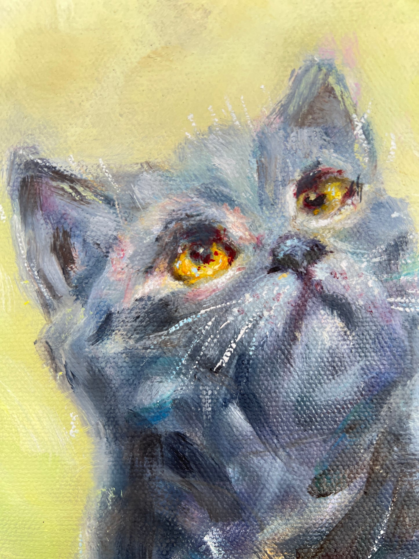 Eyes Full of Wonder