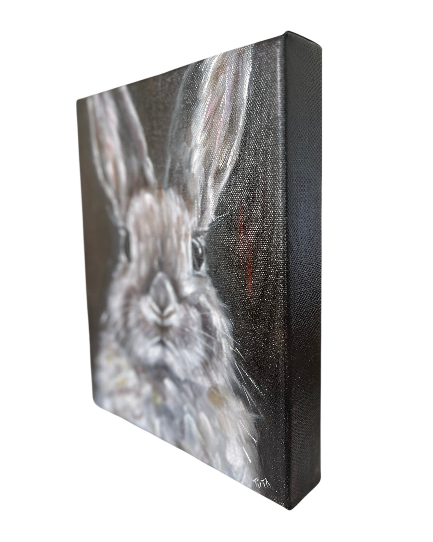 The Grey Rabbit’s Innocence