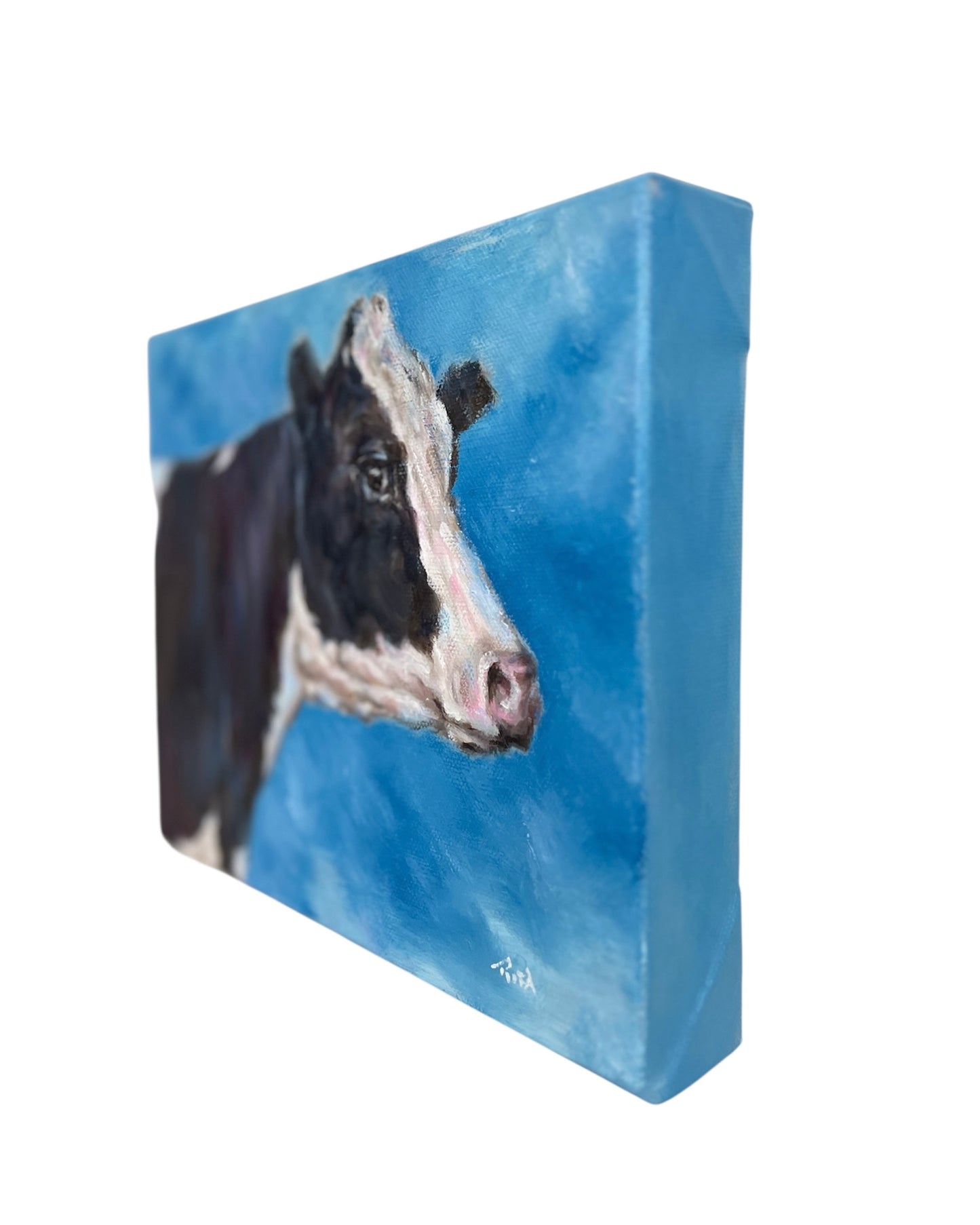 Timeless Black & White Cow