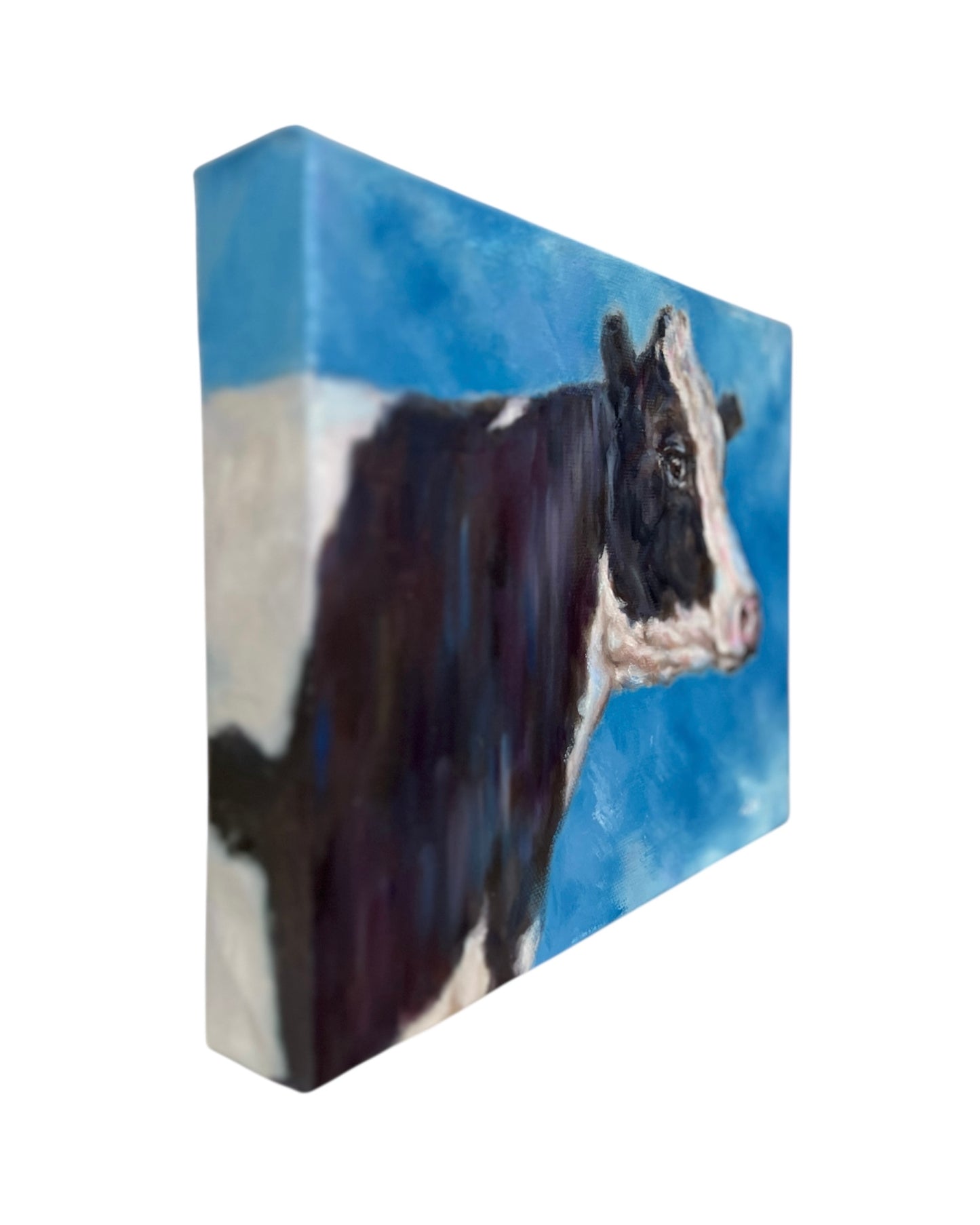 Timeless Black & White Cow
