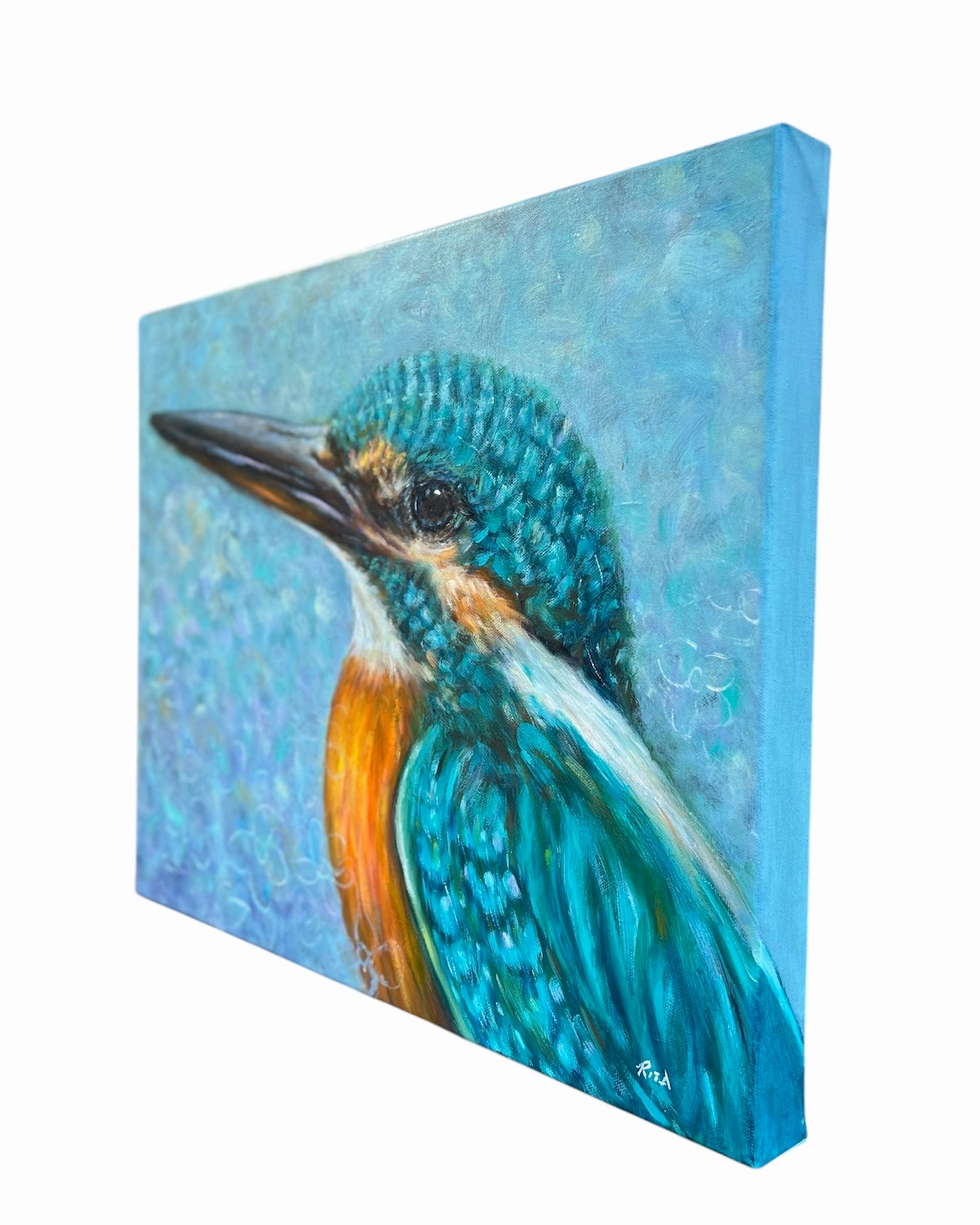 Kingfisher Delight