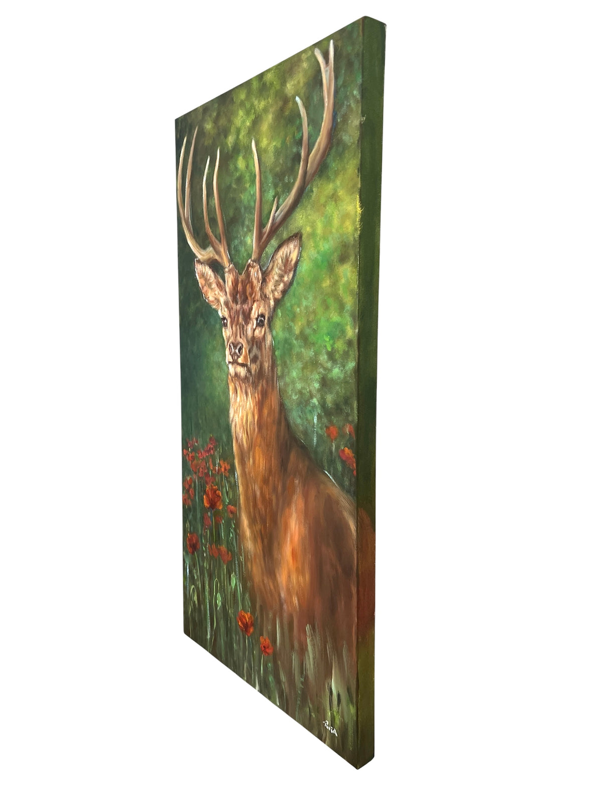 The Stag in Bloom